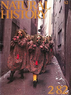 Basel Carnival in Natural History Magazine